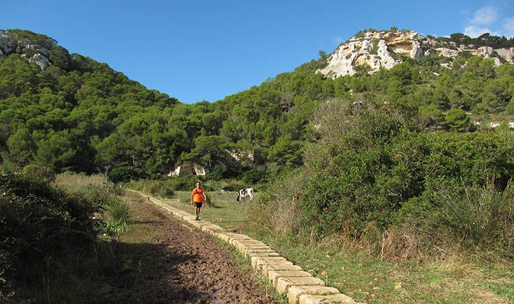 menorca_cami_de_cavalls_son_nou_barranc_lluc_julia