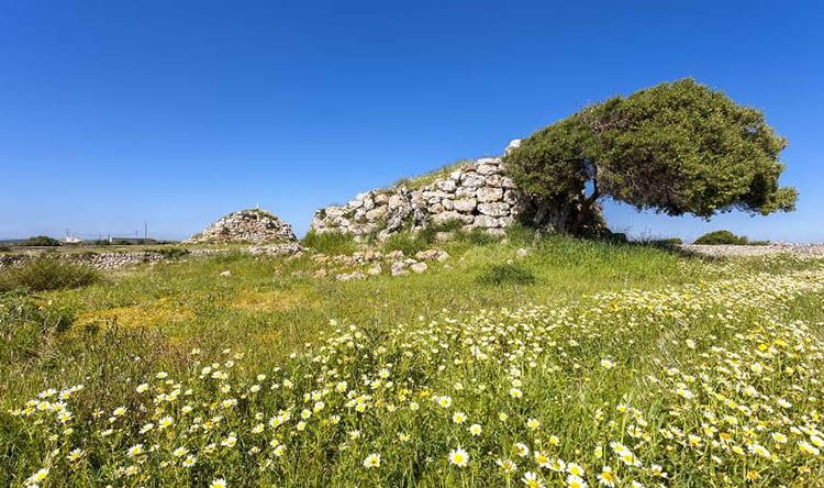 Poblat talaiòtic de Montefí. Menorca talayótica