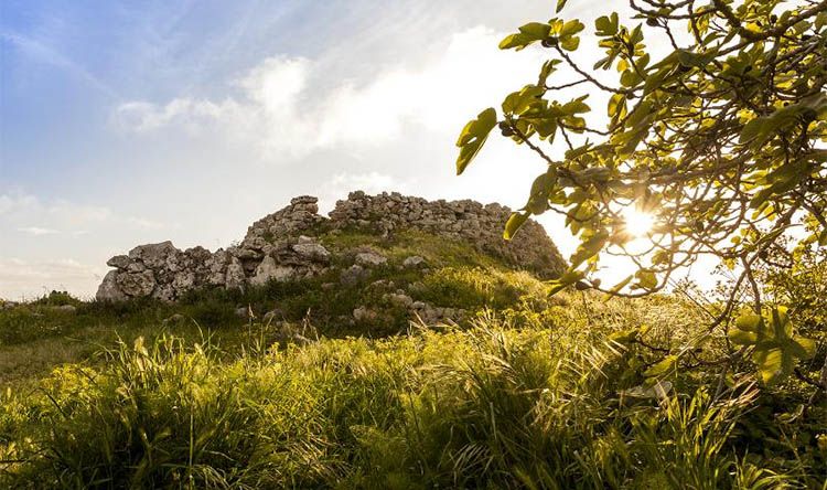 Talaiot de Trebalúger. Menorca talayótica