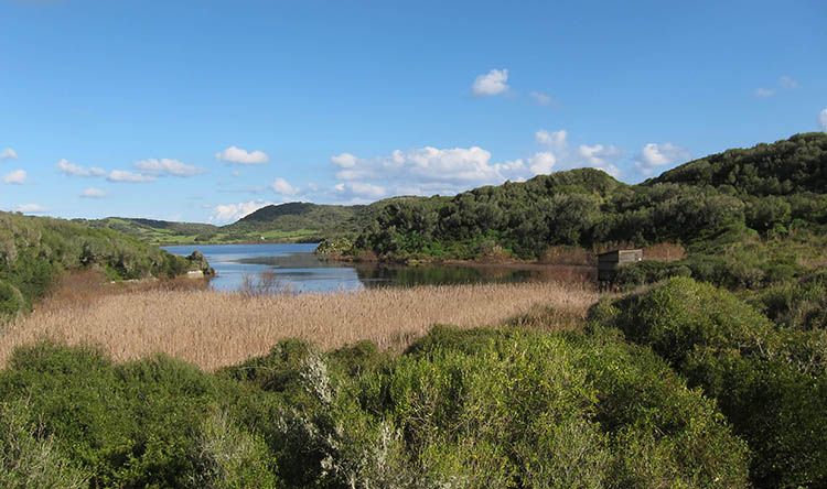 Birdwatching Menorca. Albufera des Grau ©Lluc Julià
